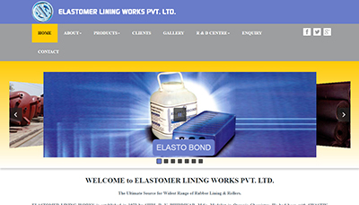 Dynamic Website Development Thane