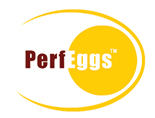 Website Promotion Company Wagle Estate