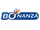 Web development company