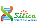 web design company in Airoli